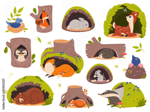 Animals in holes and burrows. Cartoon forest creatures inside hollows and nests, woodland fauna in their homes, sleeping bear in den, bird, funny squirrel and hare, vector isolated set