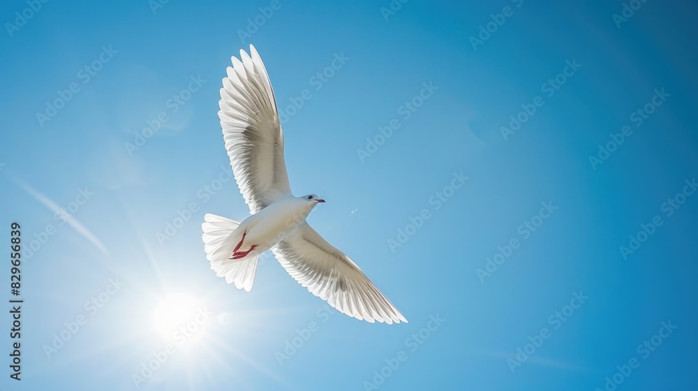 Bird soaring across the clear blue sky