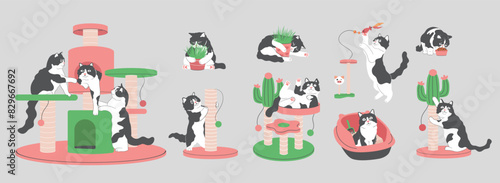Cartoon Tuxedo cat with Cat Accessories and Supplies Elements Collection,Cat Behavior, Cat playing toy,Cat eating food, cat tree,scratching post,catnip,Cat teaser,cat litter ,cat food