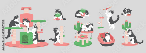 Cartoon Tuxedo cat with Cat Accessories and Supplies Elements Collection,Cat Behavior, Cat playing toy,Cat eating food, cat tree,scratching post,catnip,Cat teaser,cat litter ,cat food