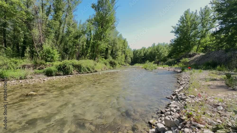 In spring the small forest river flows. Beautiful view of green nature. 4k resolution video In spring the small forest river flows. Beautiful view of green nature. 4k resolution video