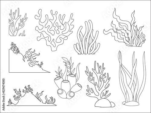 Line art of coral reefs and seaweed