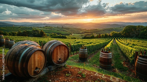 A captivating sunset view over a vineyard with wine barrels in the foreground, symbolizing winemaking
