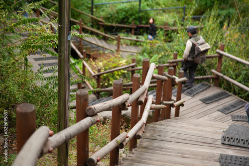 View of the wooden stairway with a walking tourist