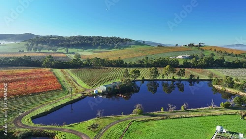 Reflections of trees in the dam of a vineyard in the Yarra Valley near Yarra Glen in Victoria Australia photo