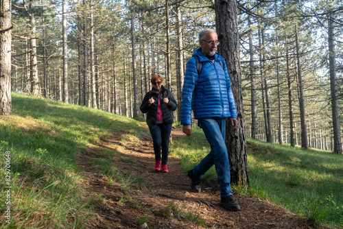 Old couple walking in nature and talk at sunset. Cheerful elder couple hiking in forest. Enjoying nature, having a good time on their retirement