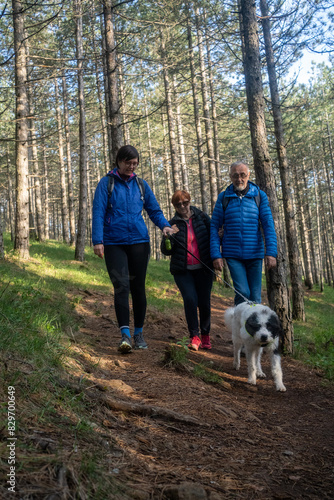 Multi generation family walking in line up the hill on a trail in a forest during a camping holiday, Zlatibor, Serbia. Happy senior father and mother with adult woman child have fun on weekend enjoy 