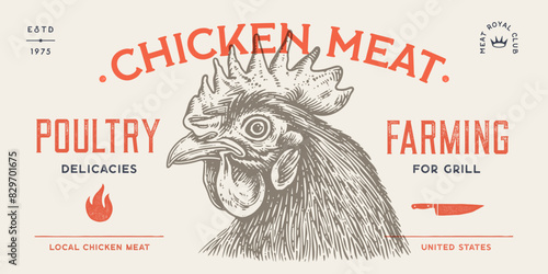 Chicken, hen head. Vintage retro print, chicken sketch ink pencil style drawing, engrave old school. Sketch artwork silhouette head chicken, white background. Side view profile. Vector Illustration