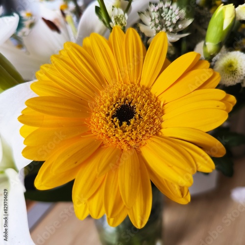 yellow flower