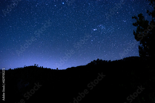 night landscape with stars