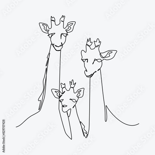 Continuous line drawing of giraffe family. Animal, nature, wild concept Editable stroke. Vector illustration.