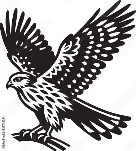 harrier eagle vector Art Illustration