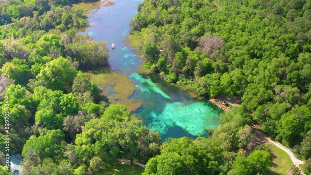Aerial shot slowly flying over Rainbow Springs State Park and river below Aerial shot slowly flying over Rainbow Springs State Park and river below