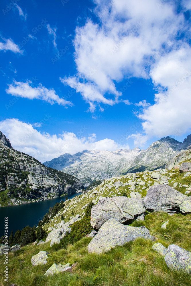 Obraz premium Summer landscape in Vall de Boi in Aiguestortes and Sant Maurici National Park, Spain
