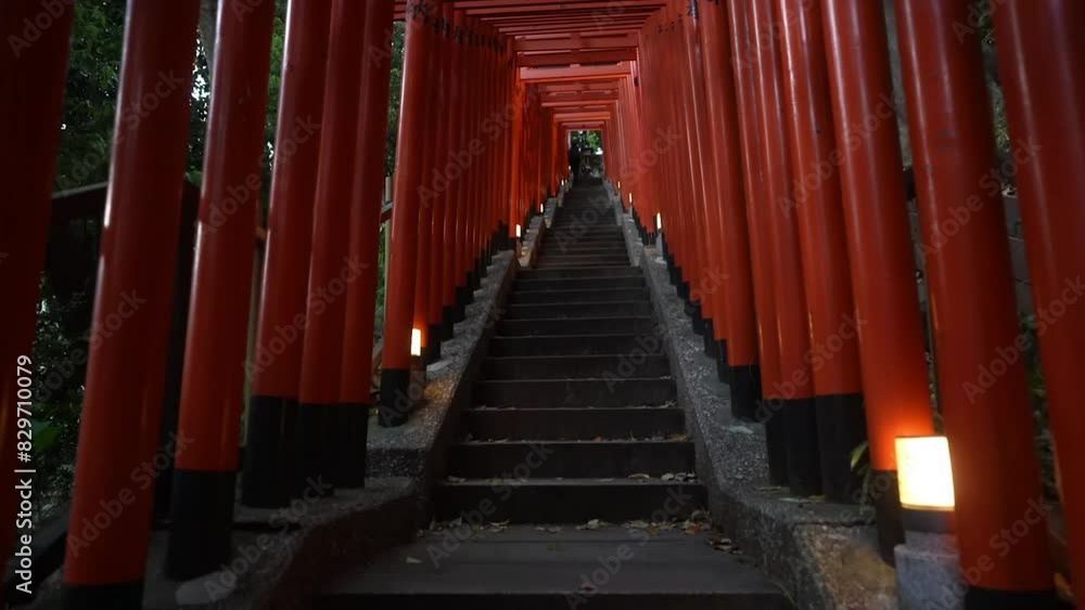 Tunnel of Red Torii gates at Hie Shrine, Hie Jinja, Akasaka Tunnel of Red Torii gates at Hie Shrine, Hie Jinja, Akasaka