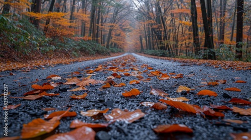 Fall scenery with vibrant orange and brown leaves scattered on a wet road through a foggy forest