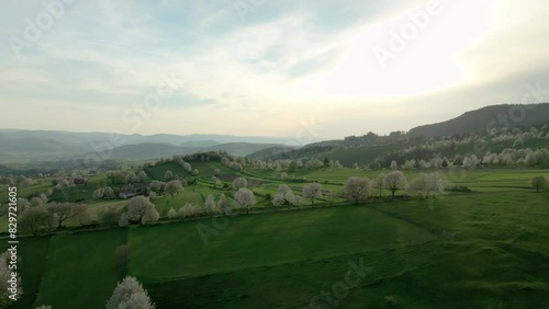 Aerial drone footage of lush, hilly terrain in Central Slovakia near Hrinova, showcasing blooming pear trees in vibrant springtime. The landscape comes alive with greenery and blossoms. LuPa Creative photo