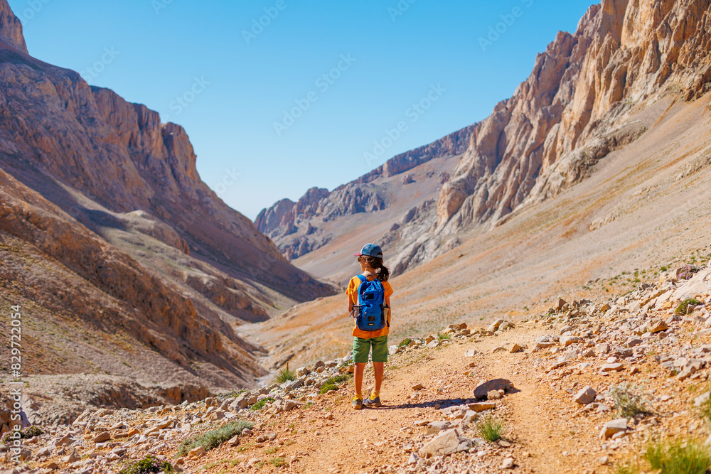 summer camp. boy with a backpack. a boy with a backpack walks along a path against the background of mountains. travel and hiking. traveling with children to the mountains.