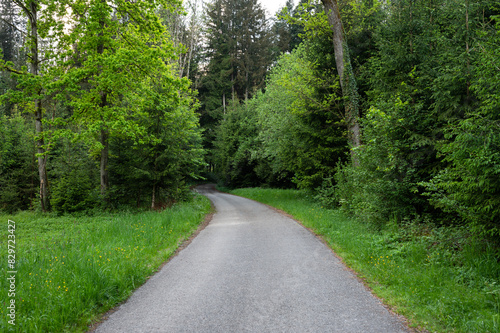 Road through the forest, bicycle route in the lands of Bavaria