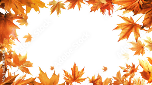Autumn leaves frame with vibrant colors showcasing beautiful fall foliage, perfect for seasonal backgrounds, decorations, and nature-themed designs.  isolated on transparent background.