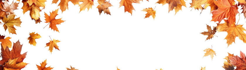 Autumn-themed framed background with vibrant orange and yellow fall leaves, perfect for seasonal designs and projects. Blank center for text or images.  isolated on transparent background.
