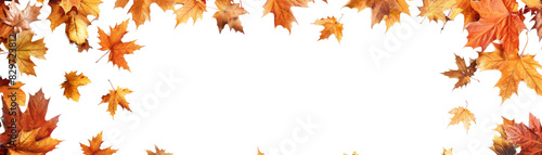 Autumn-themed framed background with vibrant orange and yellow fall leaves, perfect for seasonal designs and projects. Blank center for text or images.  isolated on transparent background.