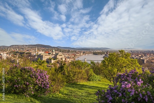Budapest, Hungary - Beautifulskyline view of Buda Castle Royal Palace photo