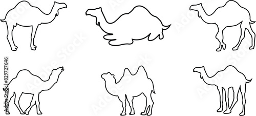 Set of Camels desert brand logos designs elements. Camels Linear graphic icons with editable stock. Camels symbols of desert. Camel Silhouettes Vectors. Black signs isolated on Transparent background.