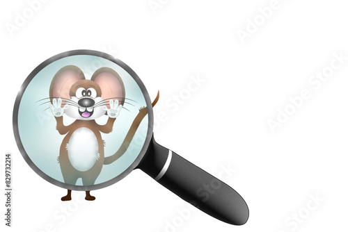 Mouse looking through a magnifying glass