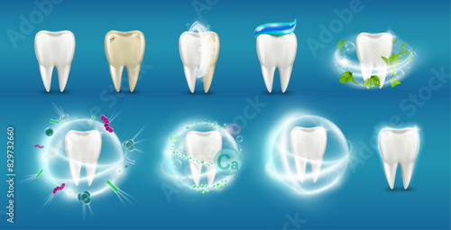 Dirty and clean tooth, isolated set of realistic teeth with food dirt. Vector protection and hygiene of dents, dentist clinic help. Brushing teeth and flossing, defense from harmful bacteria