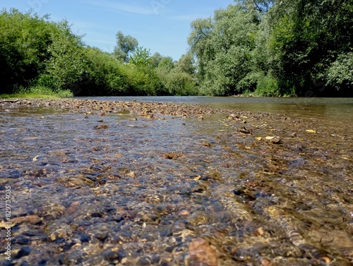 A landscape on a river with clear shallow water and a bottom covered with small stones. Many trees, bushes and grasses grow on the banks of the river. A place for recreation with clean water and a fas photo