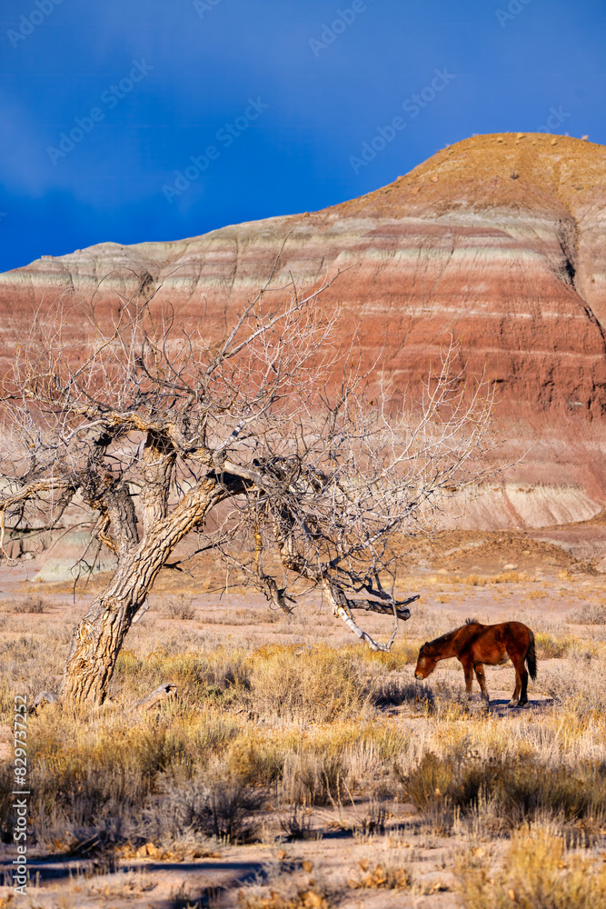 Wild Horses in Fantasy Canyon Utah