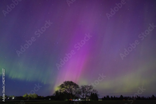 Wallpaper Mural Scenic view of Aurora Borealis seen from Birds Hill Park near Winnipeg, Manitoba, Canada Torontodigital.ca