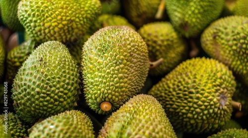Fresh jackfruits that are green