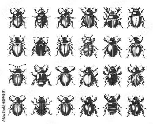 Doodle Style Egyptian Scarab Beetles Icon Set. Egyptian, Scarab, Beetle, Insect, Ancient, Egypt, Symbol, Amulet, Sacred, Artifact, Culture, Hand Drawn, Sketch, Drawing, White Background, Illustration