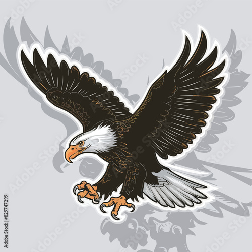 Bald eagle flying draw and paint on white background vector illustration.
