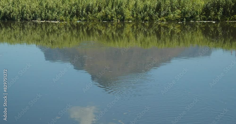 Shot of a bird flying over the polluted water. Shot of a bird flying over the polluted water.