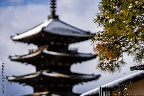 Tree with Snow Covered Yasaka Pagoda from Sannen Zaka Street in the old town district of Kyoto photo