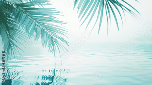 Green nature background  tropical plant leaves  palm leaves and water  a light background. Copy space. 