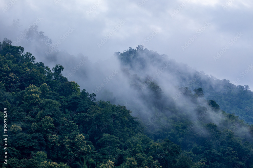The background texture of mountains in the rainy season and the icy rain fog feels cool and refreshing with the green color of the forest that is cool and pleasing to the eye. The background texture of mountains in the rainy season and the icy rain fog feels cool and refreshing with the green color of the forest that is cool and pleasing to the eye.