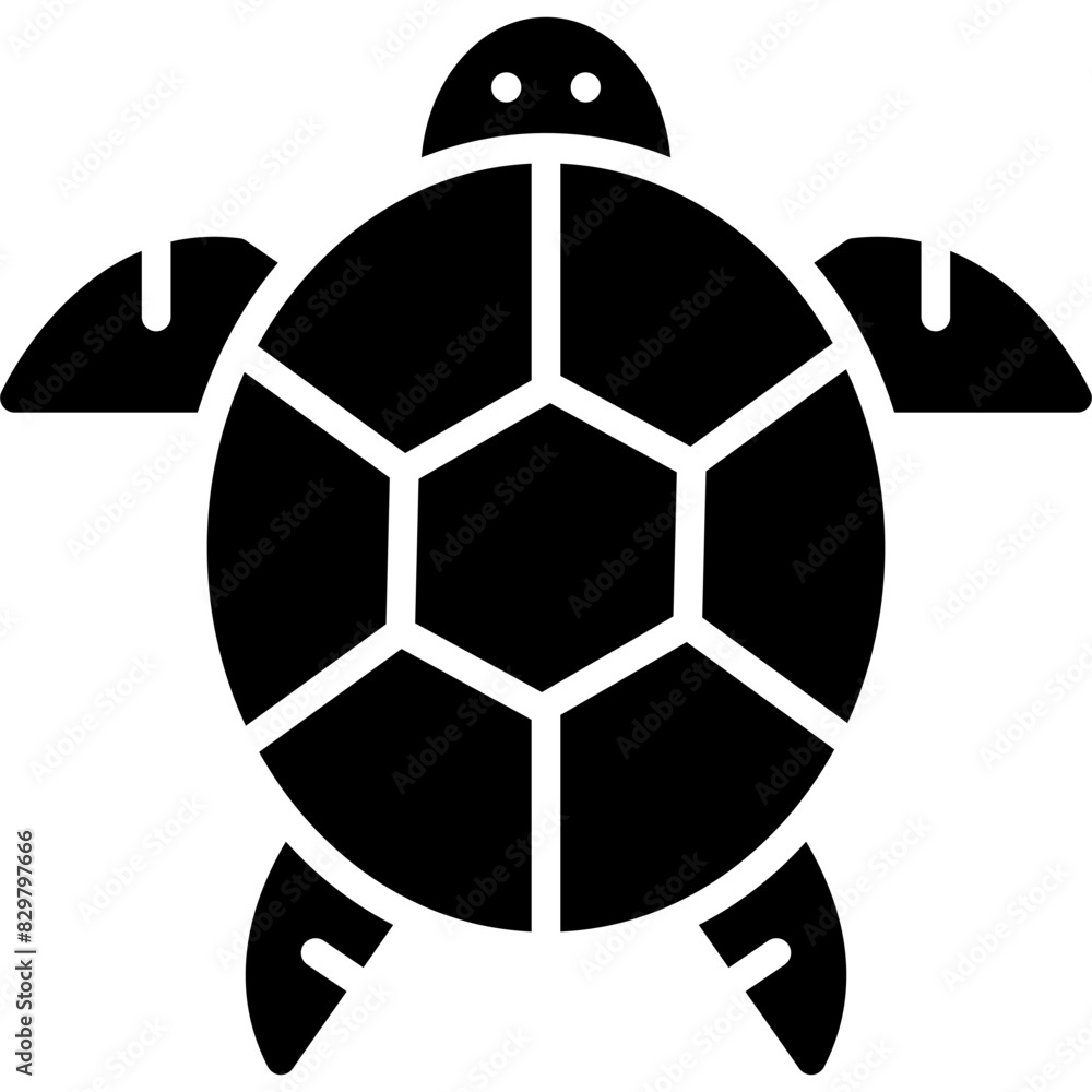 Obraz premium Turtle Icon