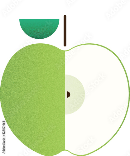 Vector fruit helf green apple cartoon vector illustration isolated object photo