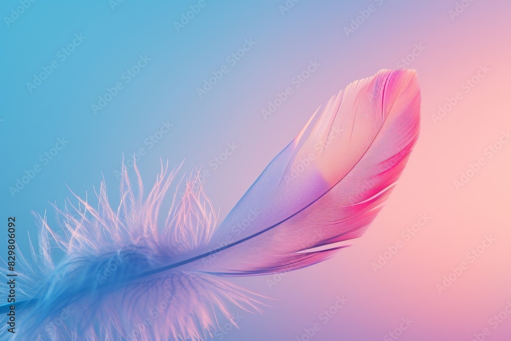 Vibrant feather background nature s palette of captivating colors on soft fluffy backdrop Vibrant feather background nature s palette of captivating colors on soft fluffy backdrop