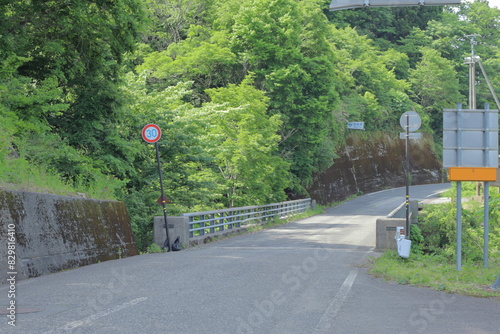 福井県の道路と橋と速度標識