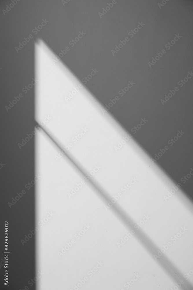A simple interior background with warm sunlight streaming in through the window. A simple interior background with warm sunlight streaming in through the window.
