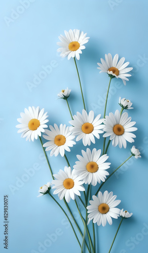 white daisies on a blue pastel paper texture background with copy space
