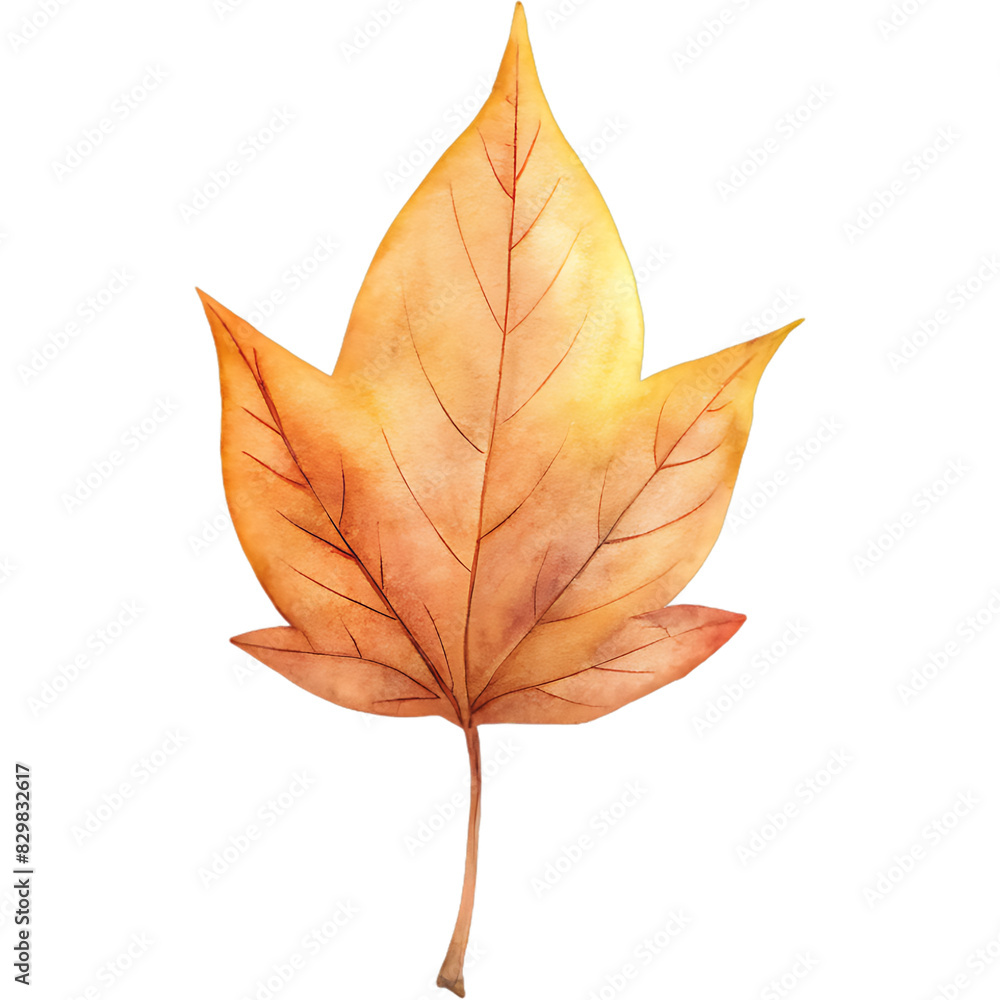 Hand drawn autumm forest leaves elements and decoration, watercolor style. Hand drawn autumm forest leaves elements and decoration, watercolor style.
