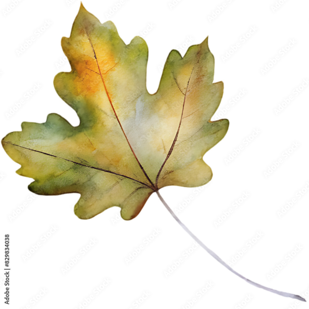 Hand drawn autumm forest leaves elements and decoration, watercolor style.