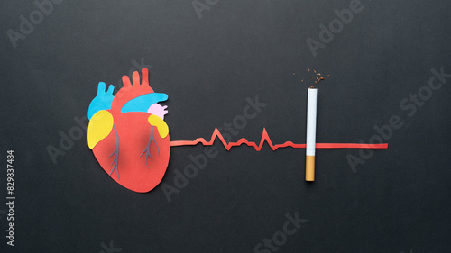 Smoking damages heart and blood vessels. Cigarettes or tobacco with unhealthy human heart organ and EKG on black background. Quit smoking and improve your health. World no tobacco day.