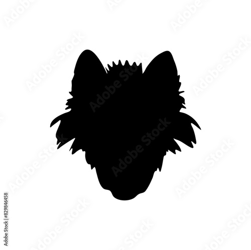 Wolf head illustration